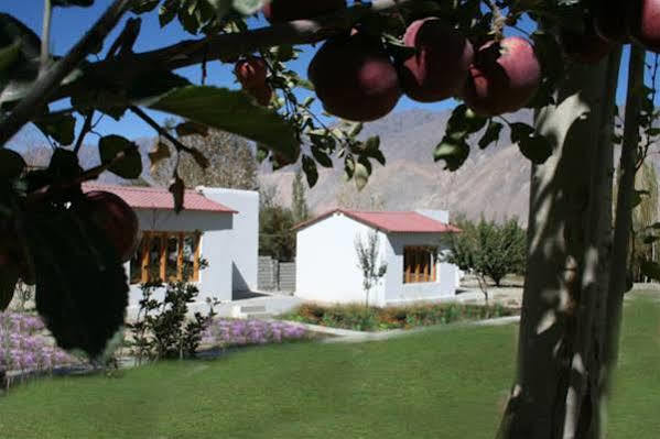 Himalayan Eco Resort Hundar 외부 사진