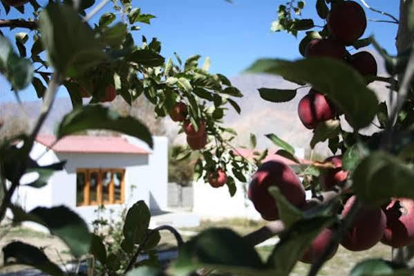 Himalayan Eco Resort Hundar 외부 사진